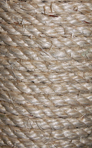 Cat scratching post rope