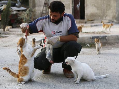 man in syria cats feeding cats