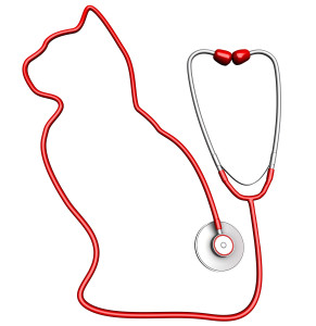 Cat-shaped stethoscope